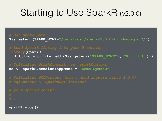 Sparkr command line